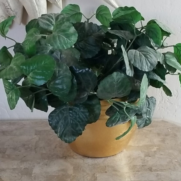 Faux Plant